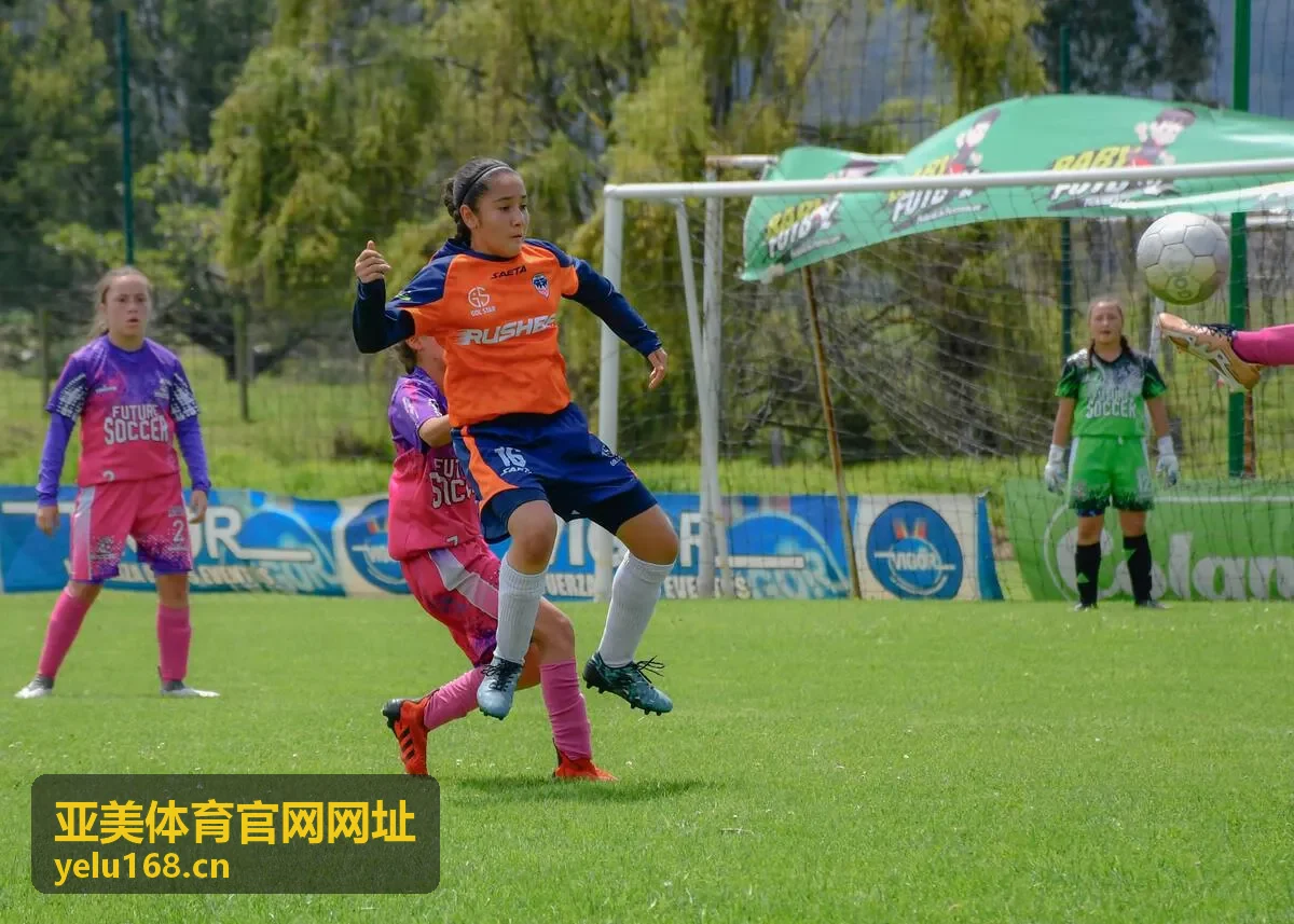 访问常见疑问 亚美体育官网网址